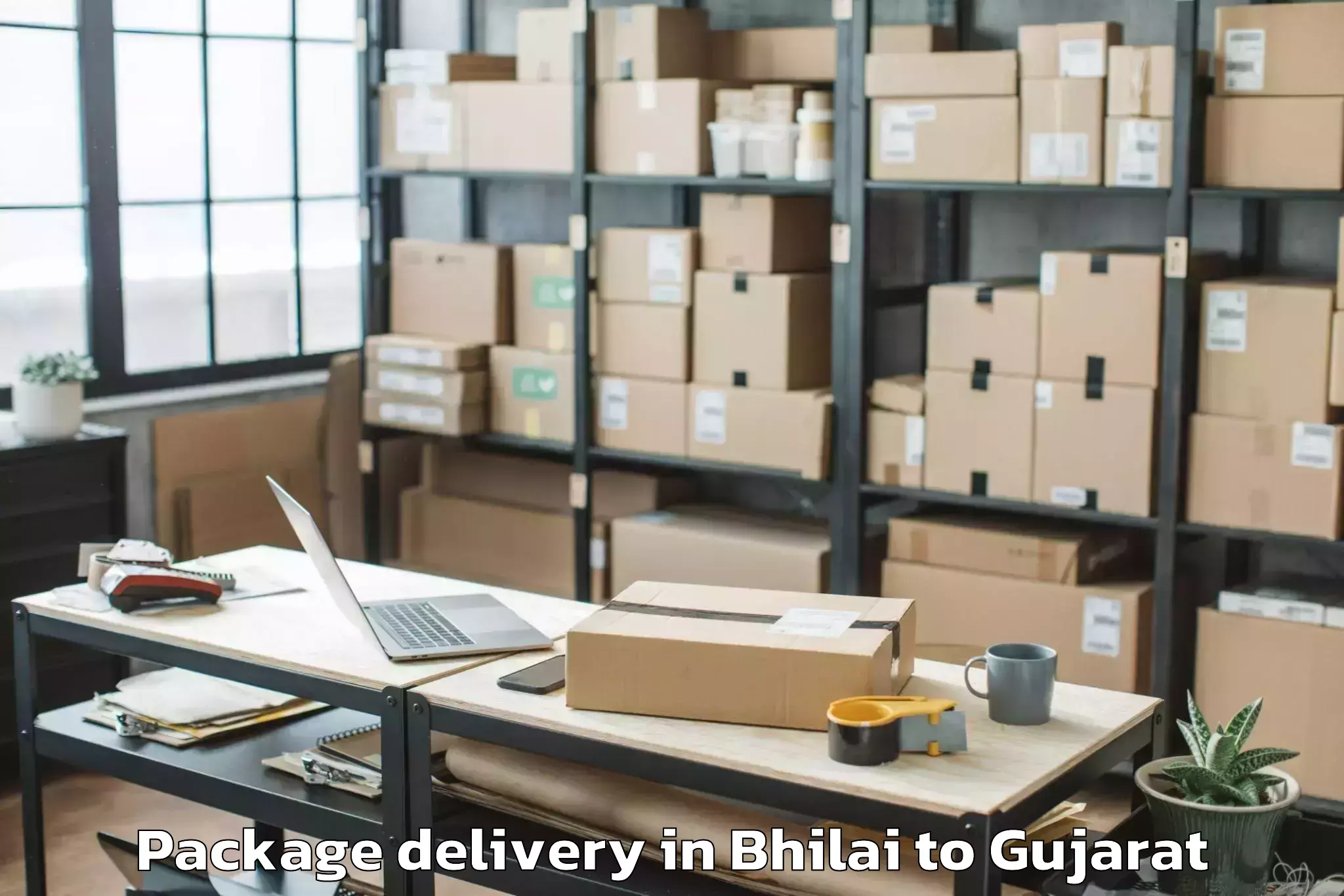 Reliable Bhilai to Valia Package Delivery